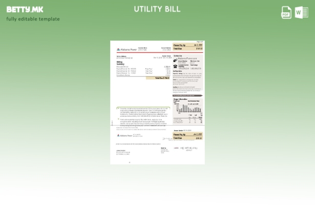 Модерен стил шаблон за сметки за електрична енергија во САД Алабама